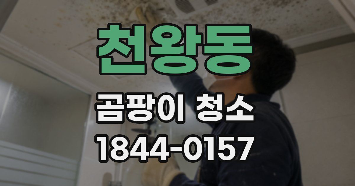 천왕동 곰팡이 청소