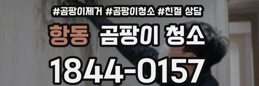 항동 곰팡이 청소