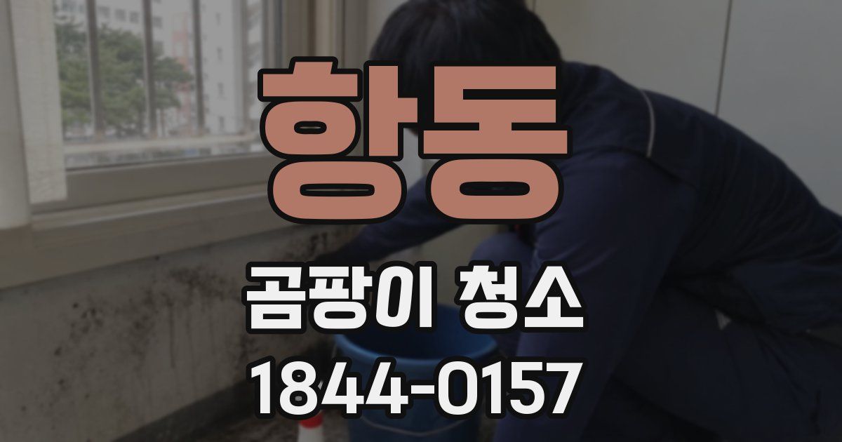 항동 곰팡이 청소