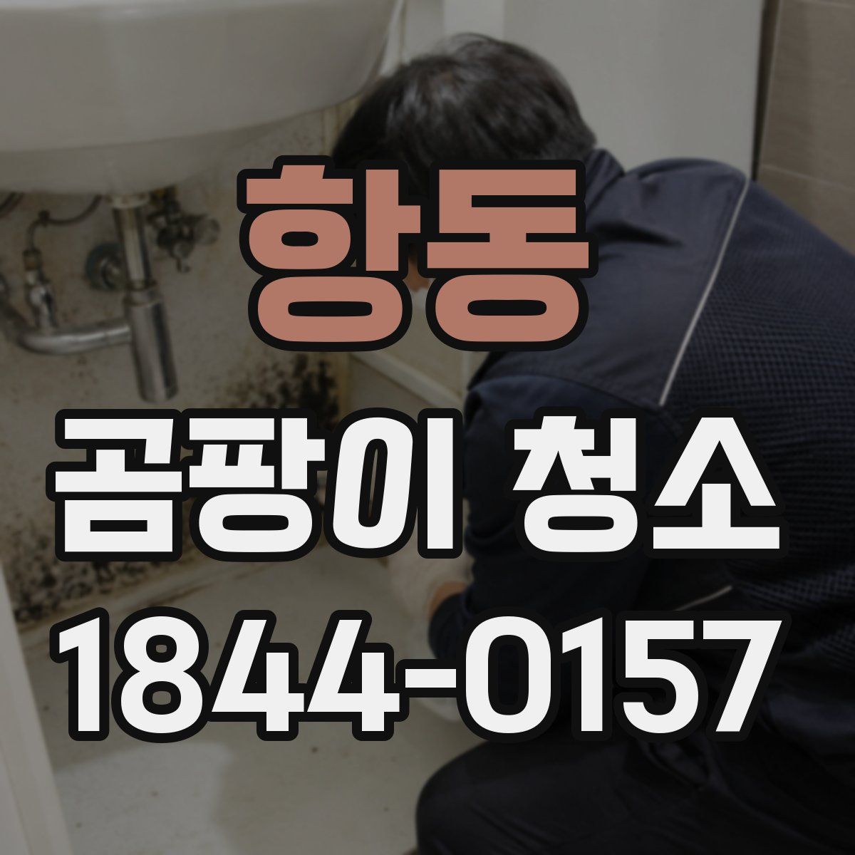 항동 곰팡이 청소