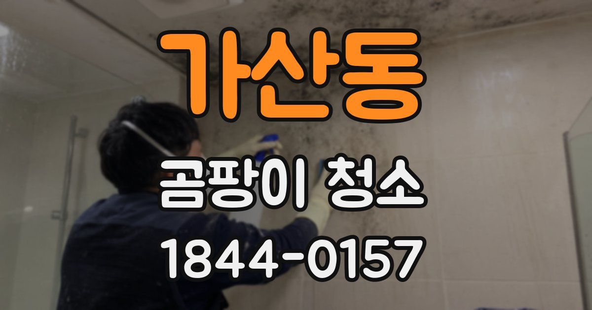 가산동 곰팡이 청소