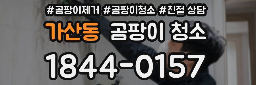 가산동 곰팡이 청소