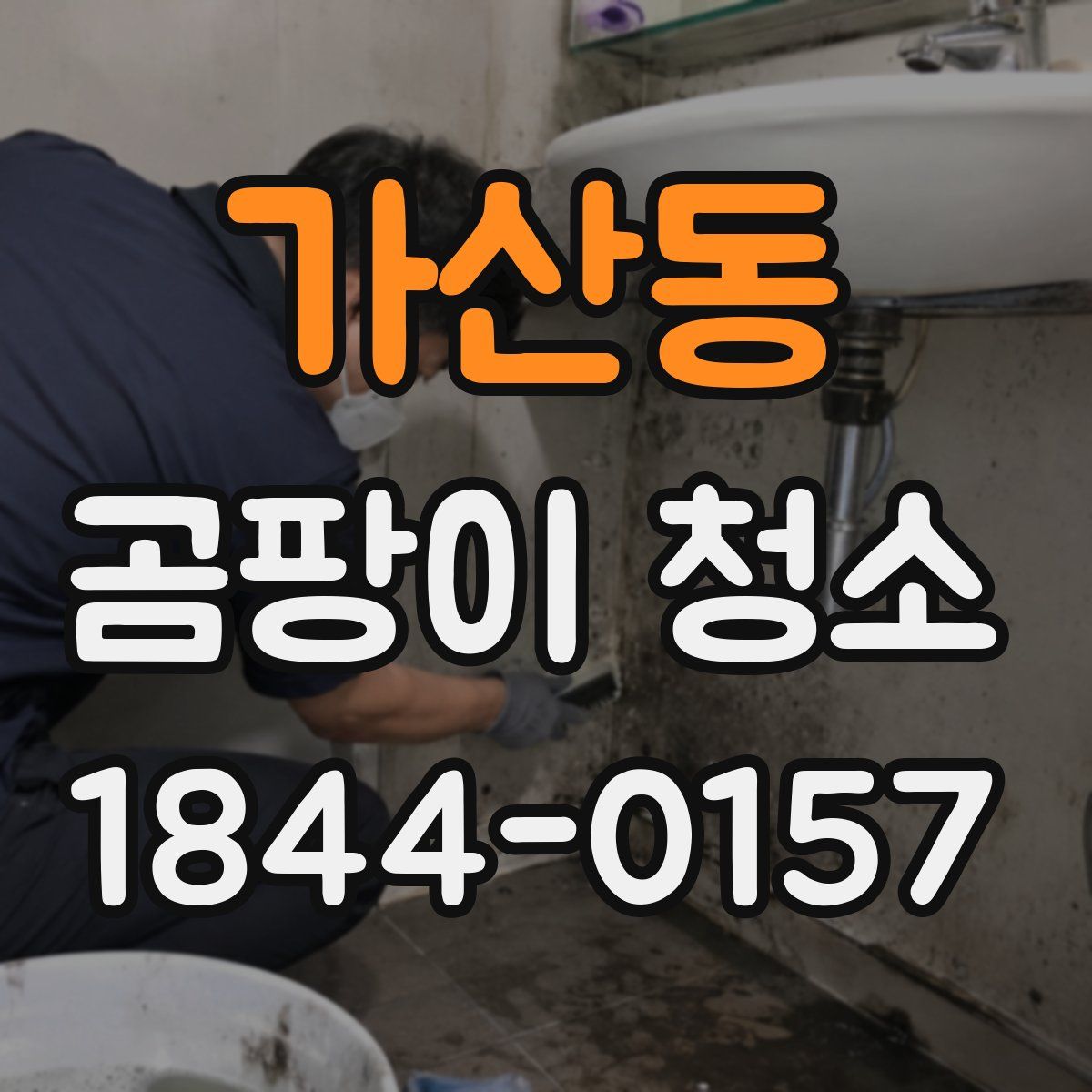 가산동 곰팡이 청소