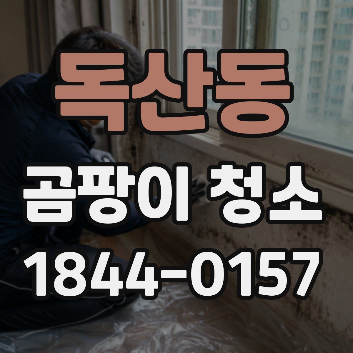 독산동 곰팡이 청소 상담에서 많이 묻는 내용