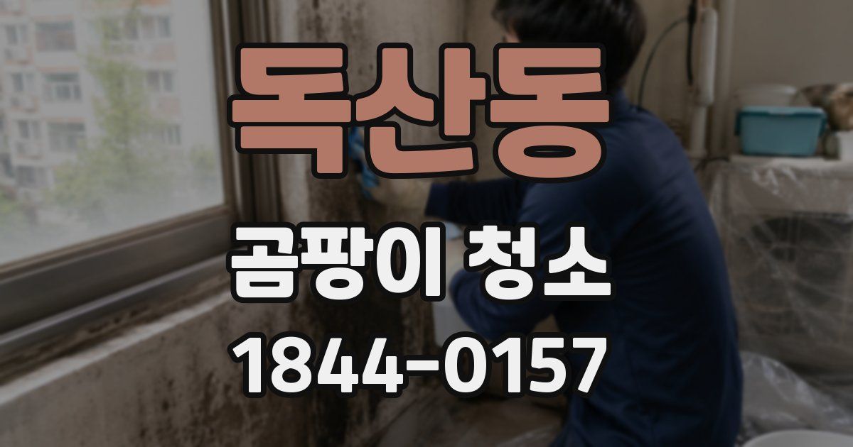 독산동 곰팡이 청소