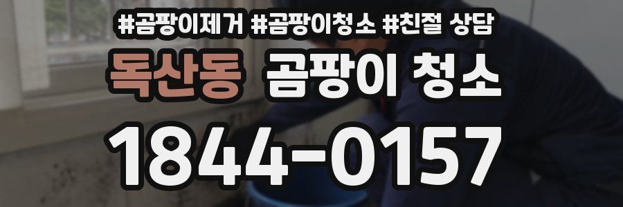독산동 곰팡이 청소