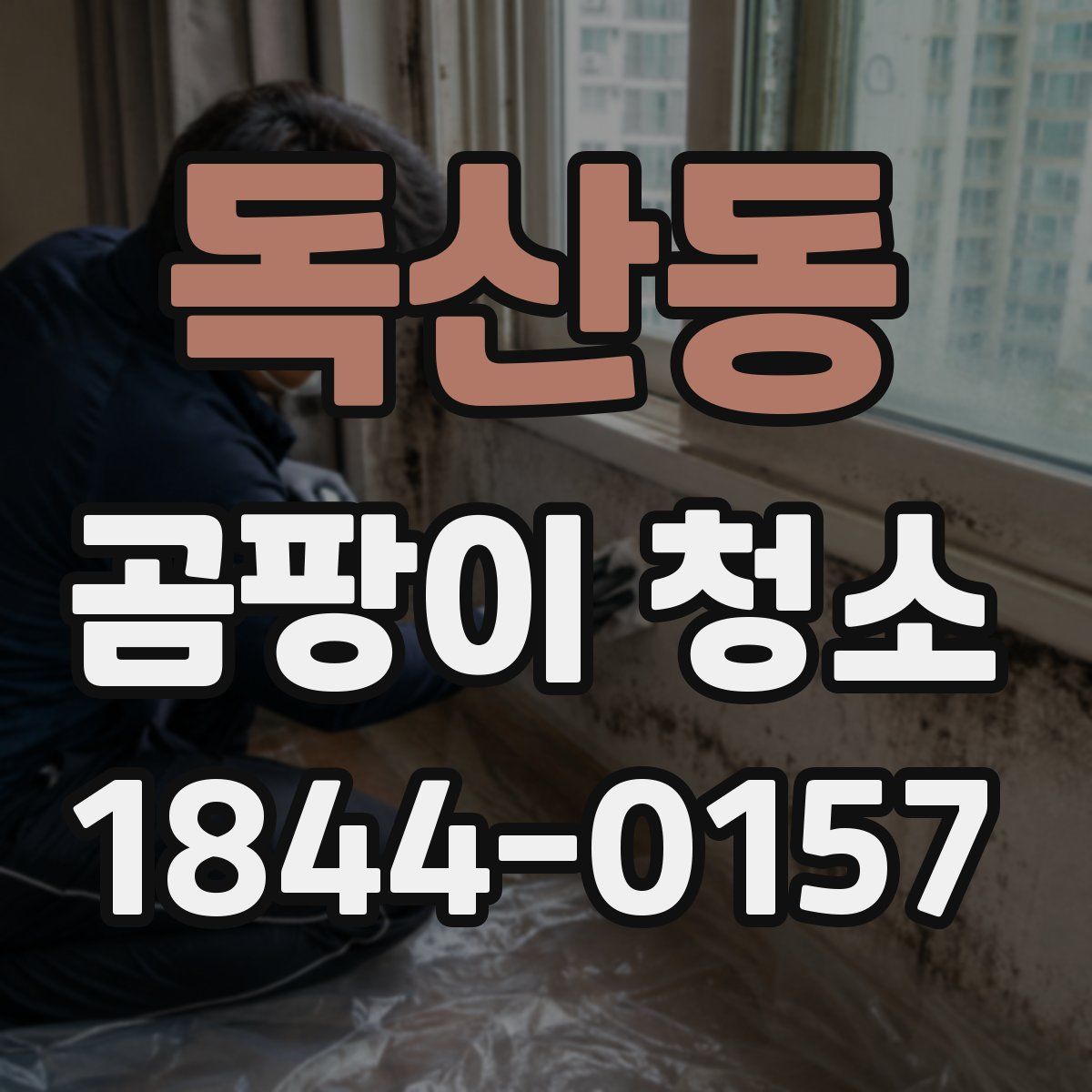 독산동 곰팡이 청소
