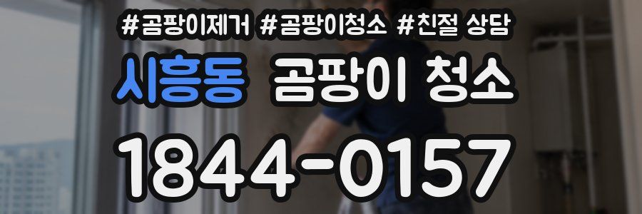 시흥동 곰팡이 청소