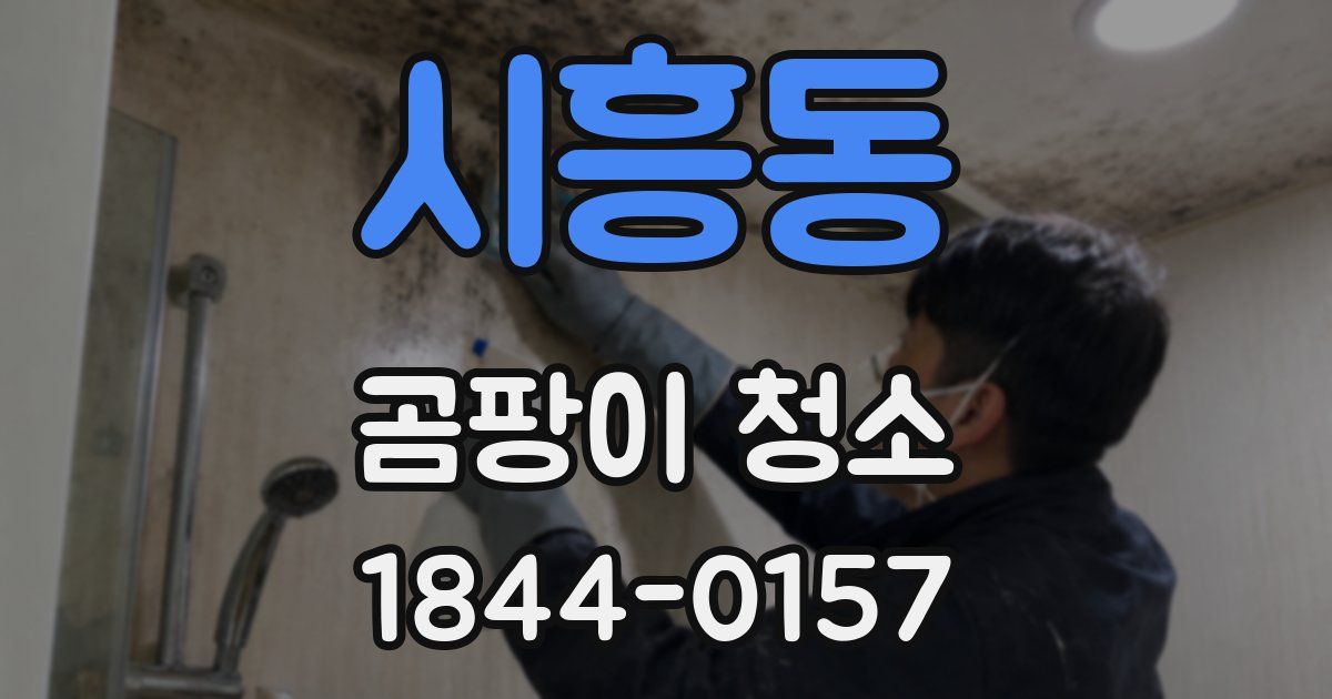 시흥동 곰팡이 청소