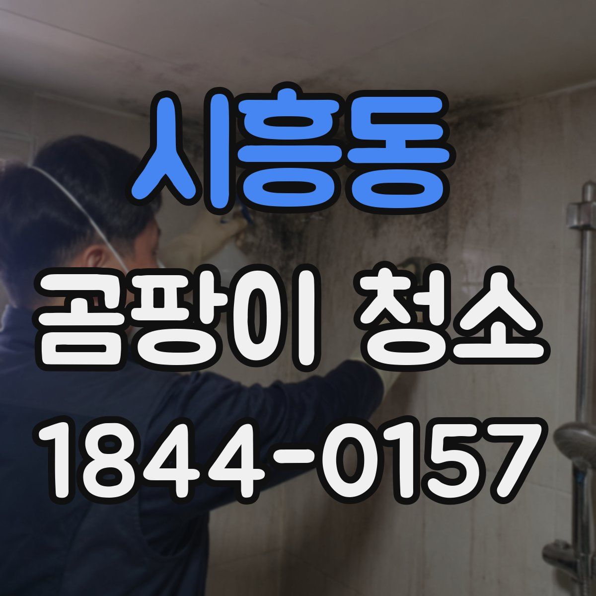 시흥동 곰팡이 청소
