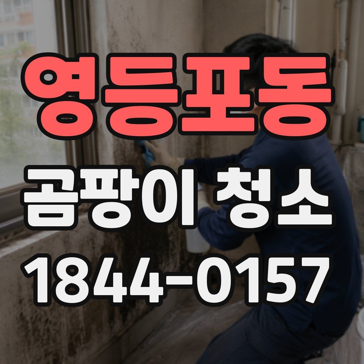영등포동 곰팡이 청소 업체와 셀프 청소의 차이