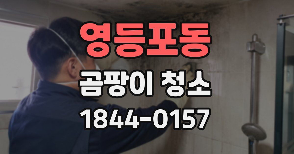 영등포동 곰팡이 청소