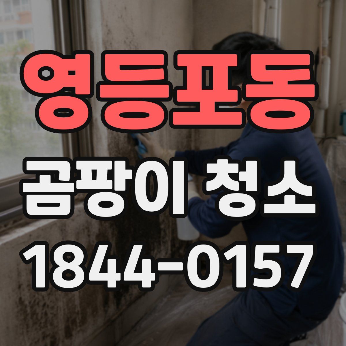 영등포동 곰팡이 청소