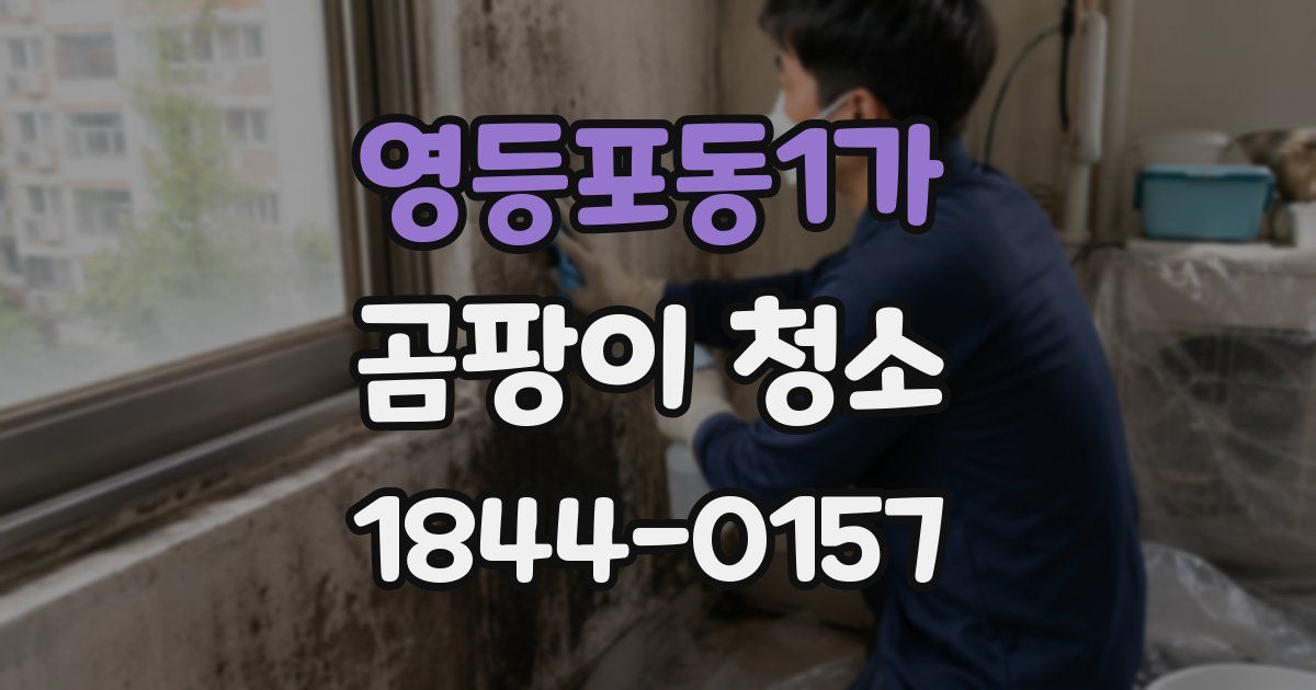 영등포동1가 곰팡이 청소