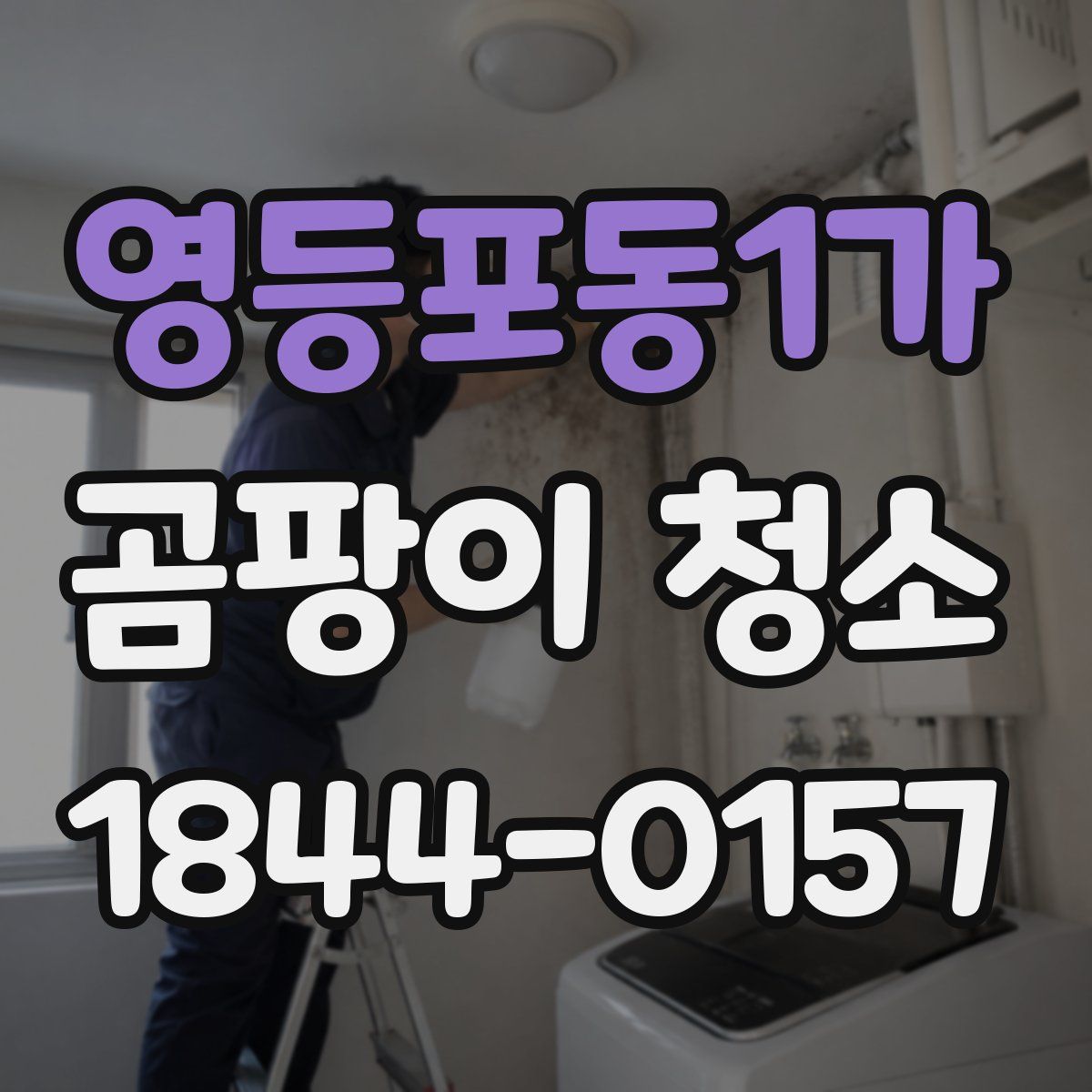 영등포동1가 곰팡이 청소