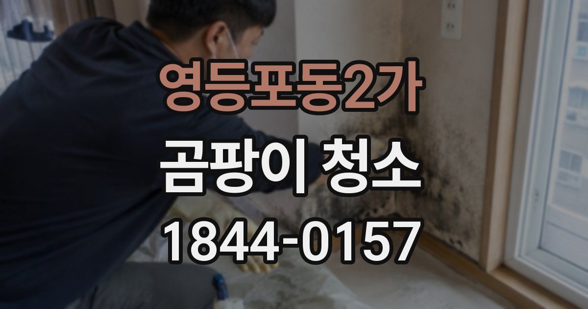 영등포동2가 곰팡이 청소
