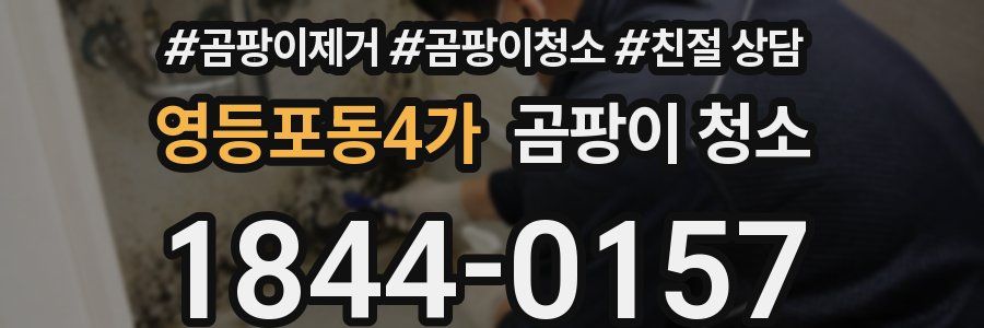 영등포동4가 곰팡이 청소