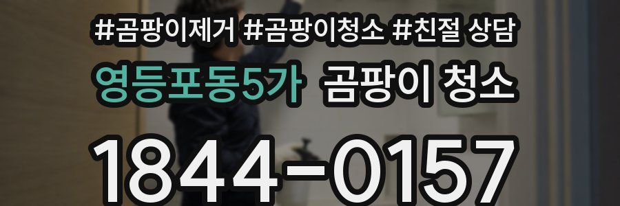 영등포동5가 곰팡이 청소