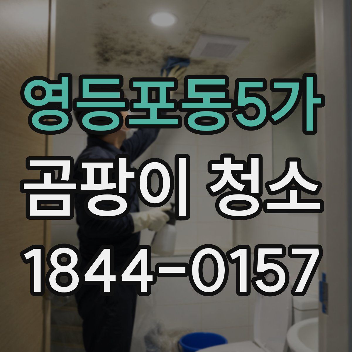 영등포동5가 곰팡이 청소