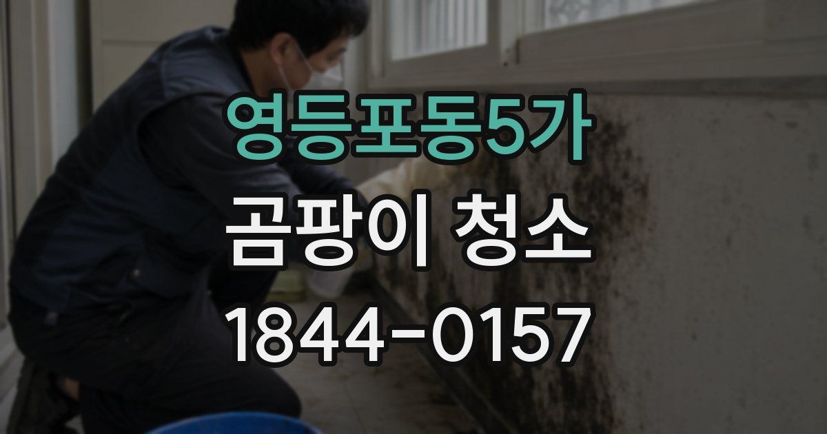 영등포동5가 곰팡이 청소