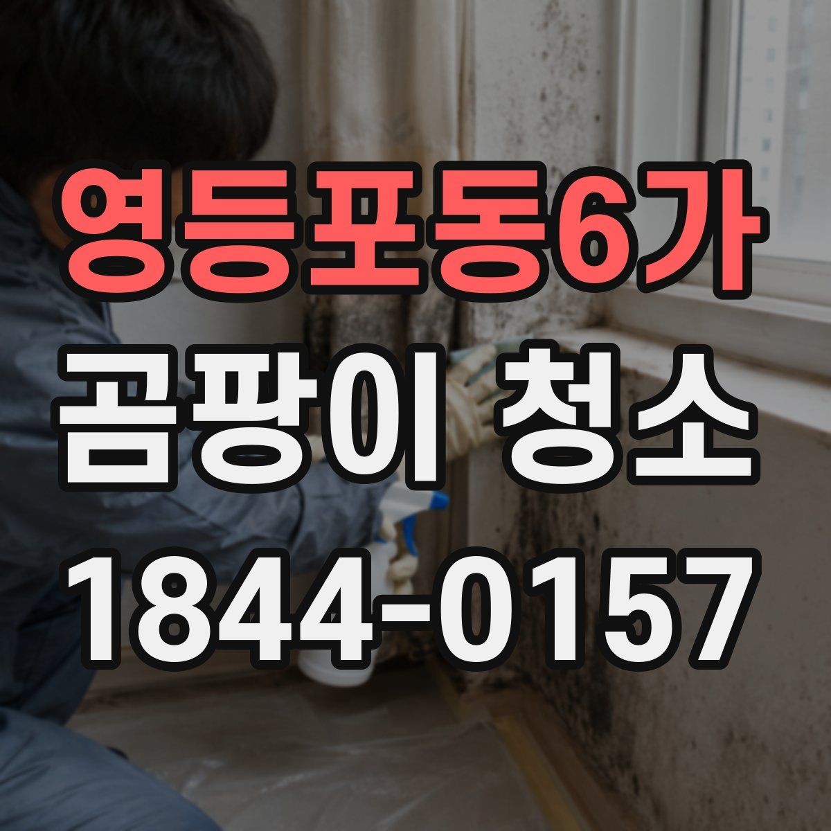 영등포동6가 곰팡이 청소 후 벽면 상태를 확인하는 방법