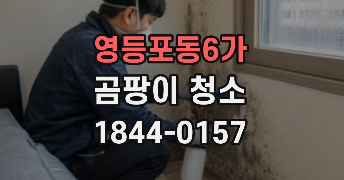 영등포동6가 곰팡이 청소