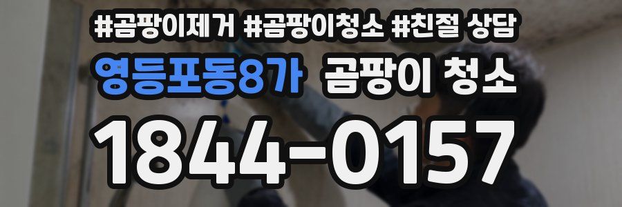 영등포동8가 곰팡이 청소