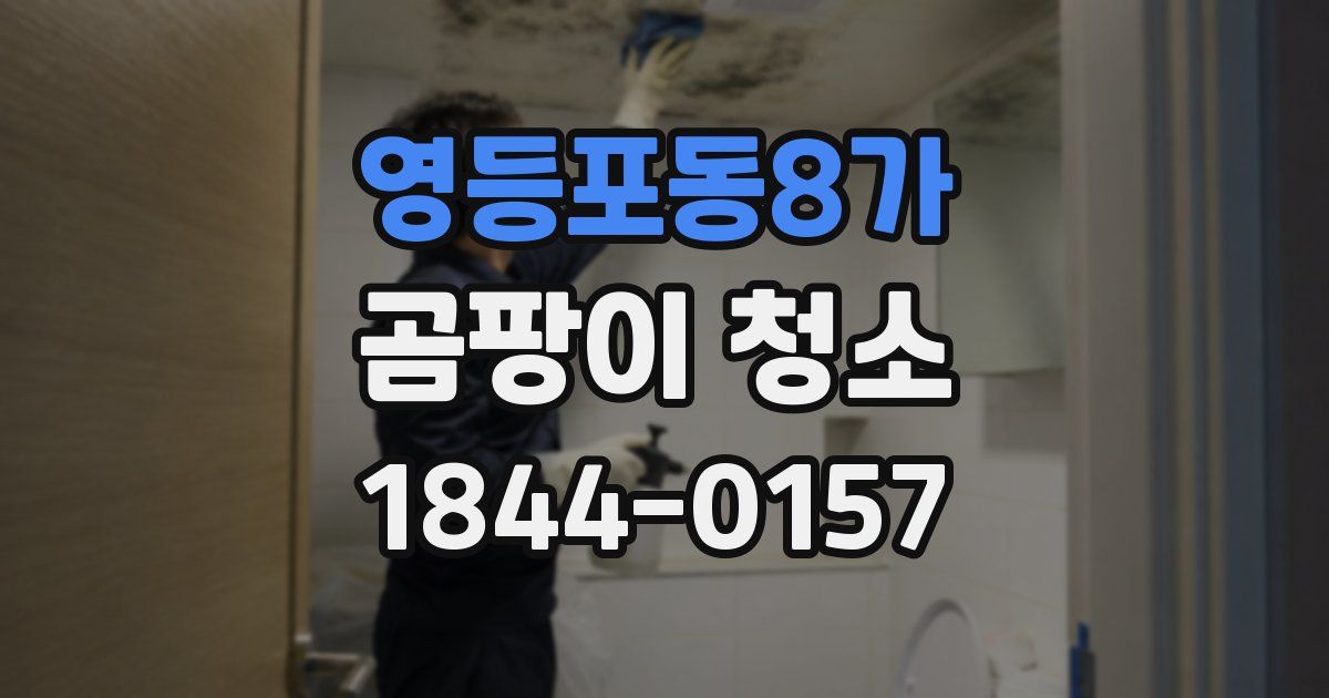 영등포동8가 곰팡이 청소