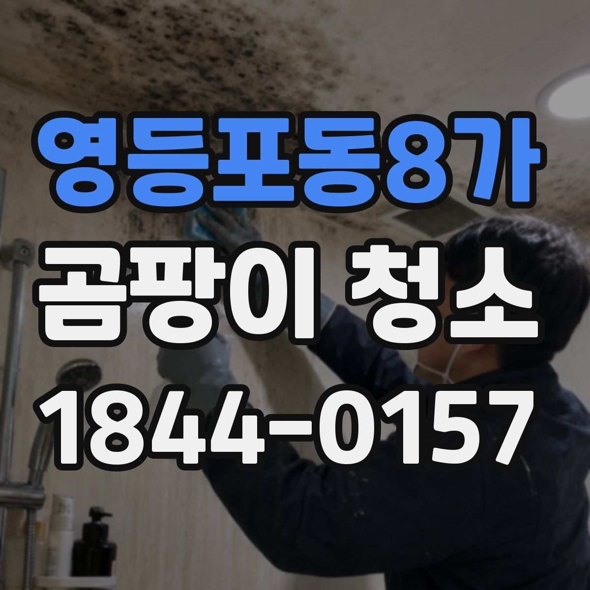 영등포동8가 곰팡이 청소