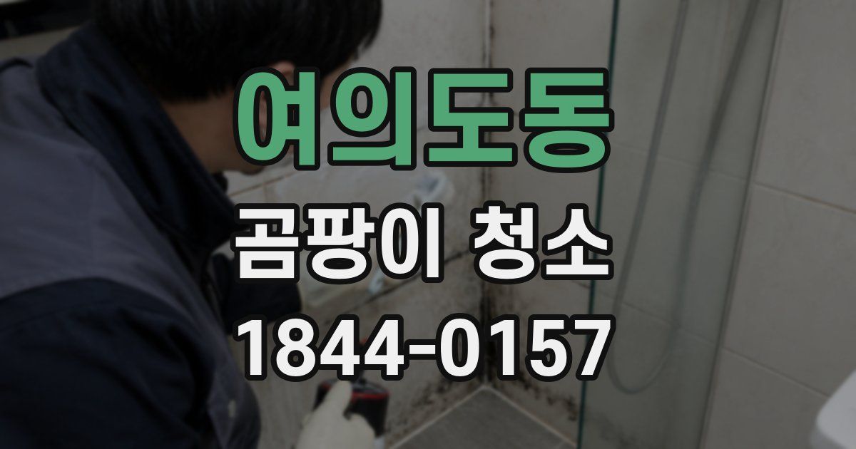 여의도동 곰팡이 청소