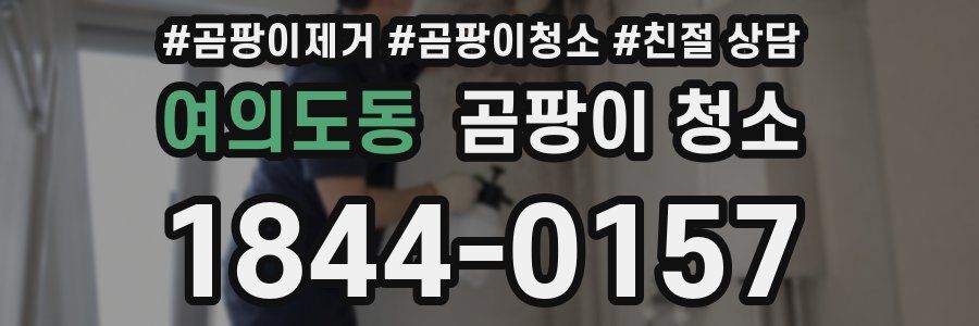 여의도동 곰팡이 청소