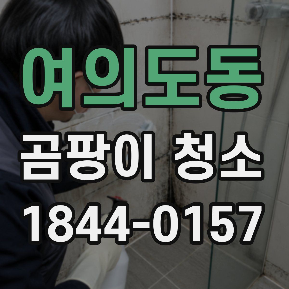 여의도동 곰팡이 청소