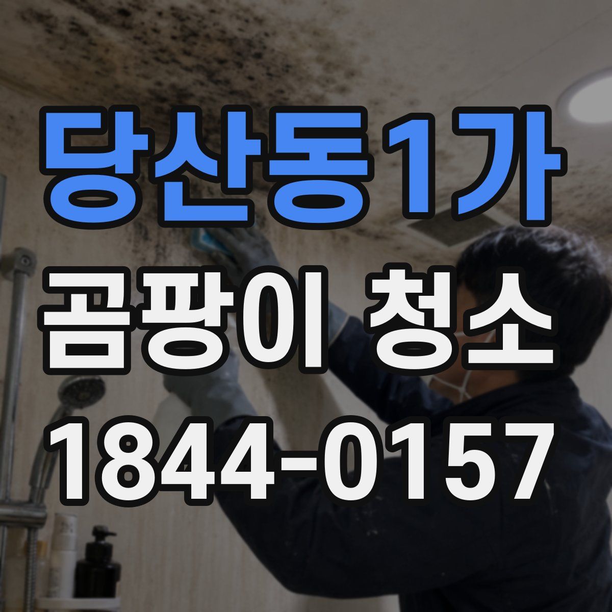 당산동1가 곰팡이 청소