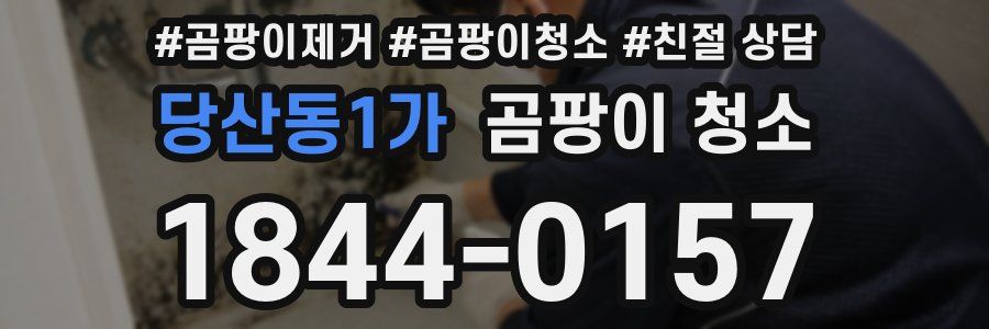 당산동1가 곰팡이 청소