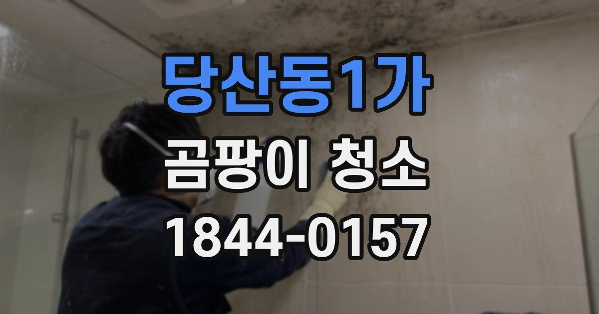 당산동1가 곰팡이 청소