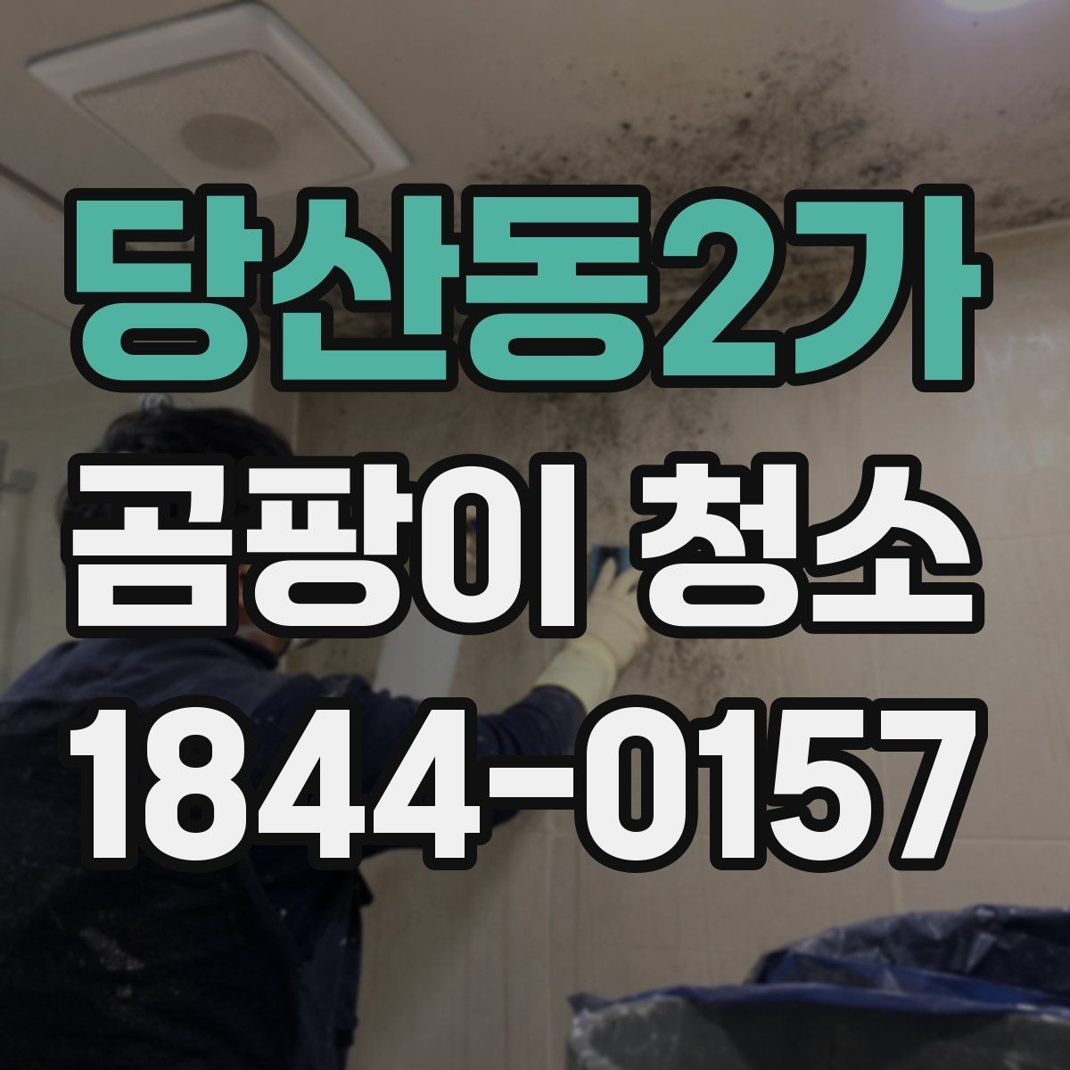 당산동2가 곰팡이 청소 후 실내 상태를 오래 유지하는 팁