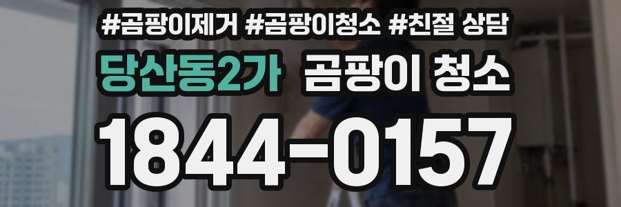 당산동2가 곰팡이 청소