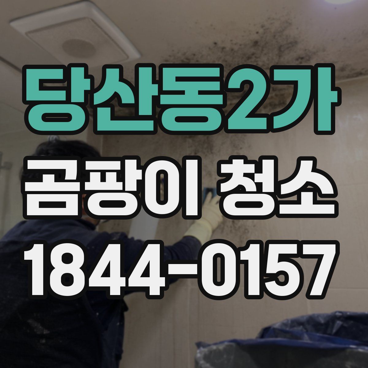 당산동2가 곰팡이 청소