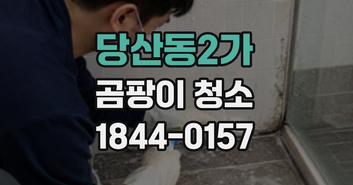 당산동2가 곰팡이 청소