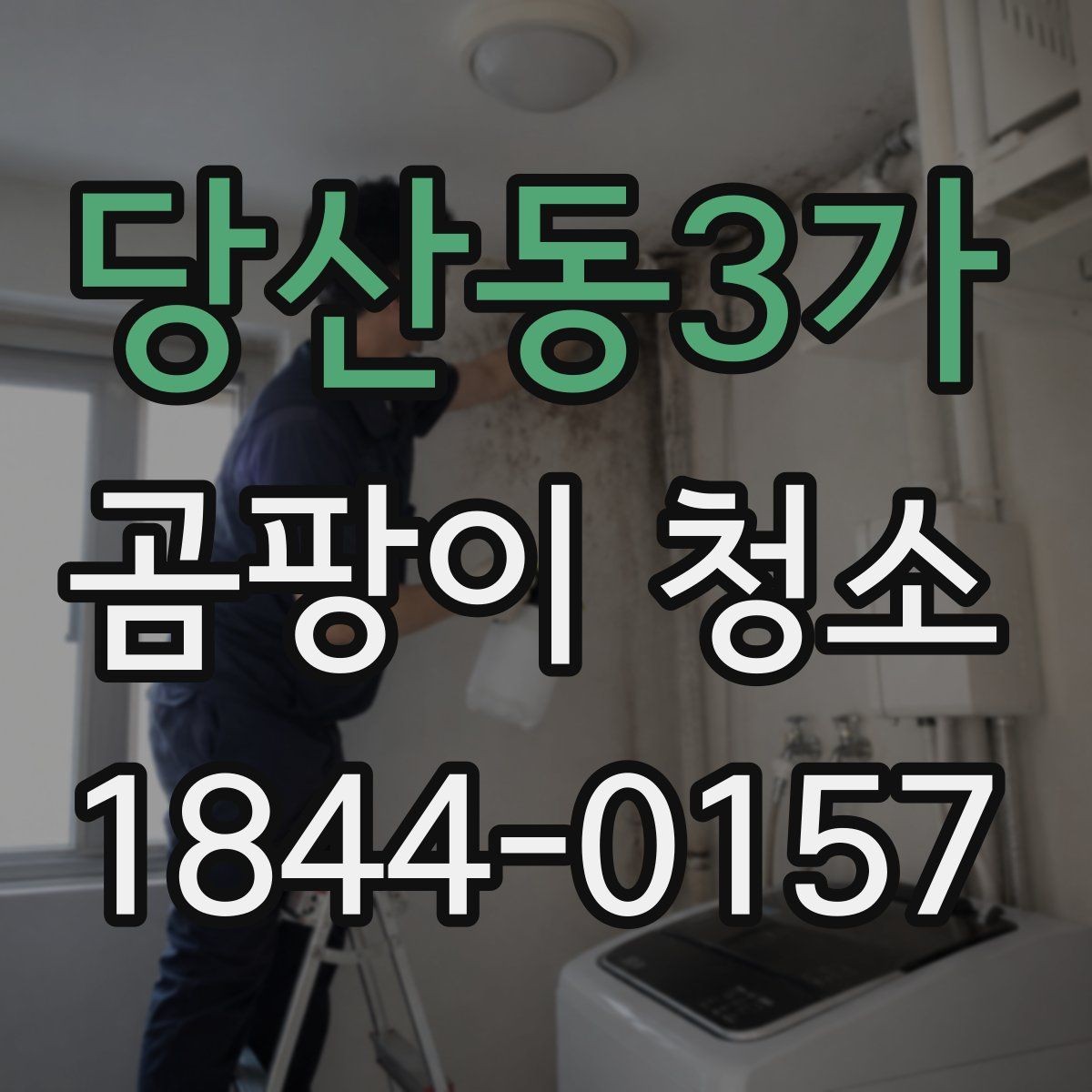 당산동3가 곰팡이 청소 시 벽지 손상 줄이는 방법