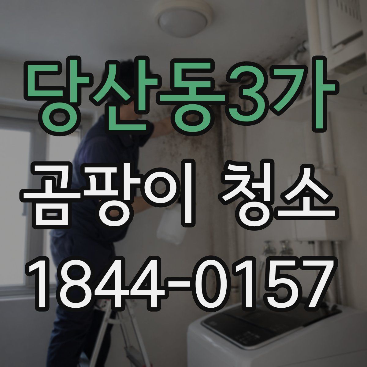 당산동3가 곰팡이 청소