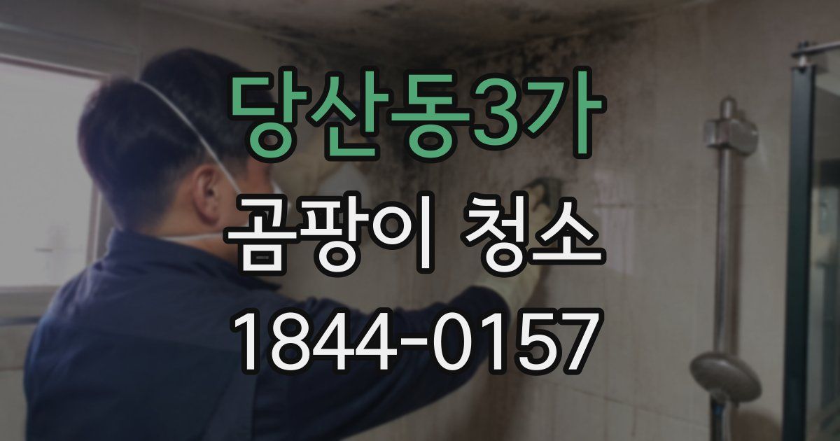 당산동3가 곰팡이 청소