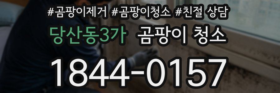 당산동3가 곰팡이 청소