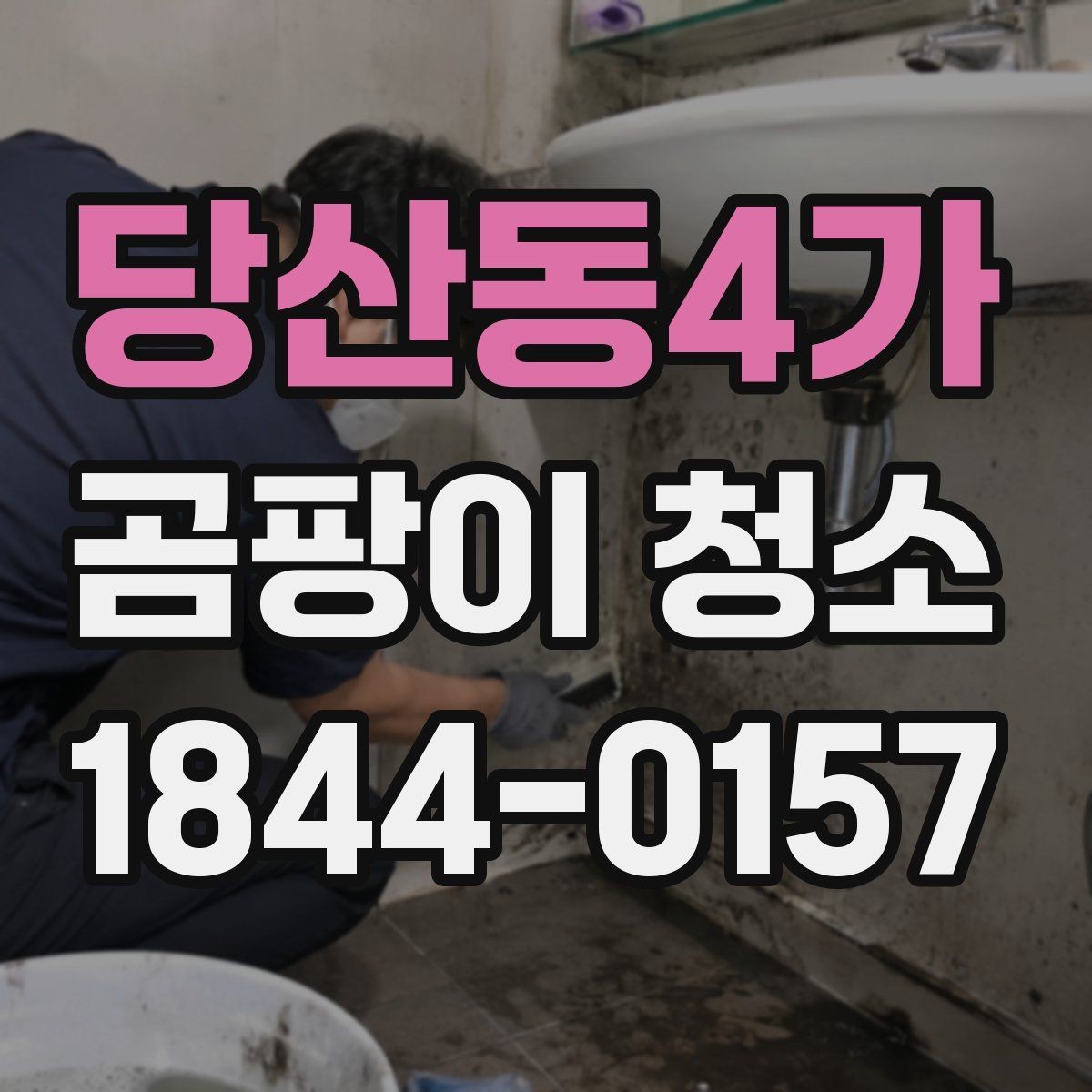 당산동4가 곰팡이 청소 전에 집주인이 확인할 내용