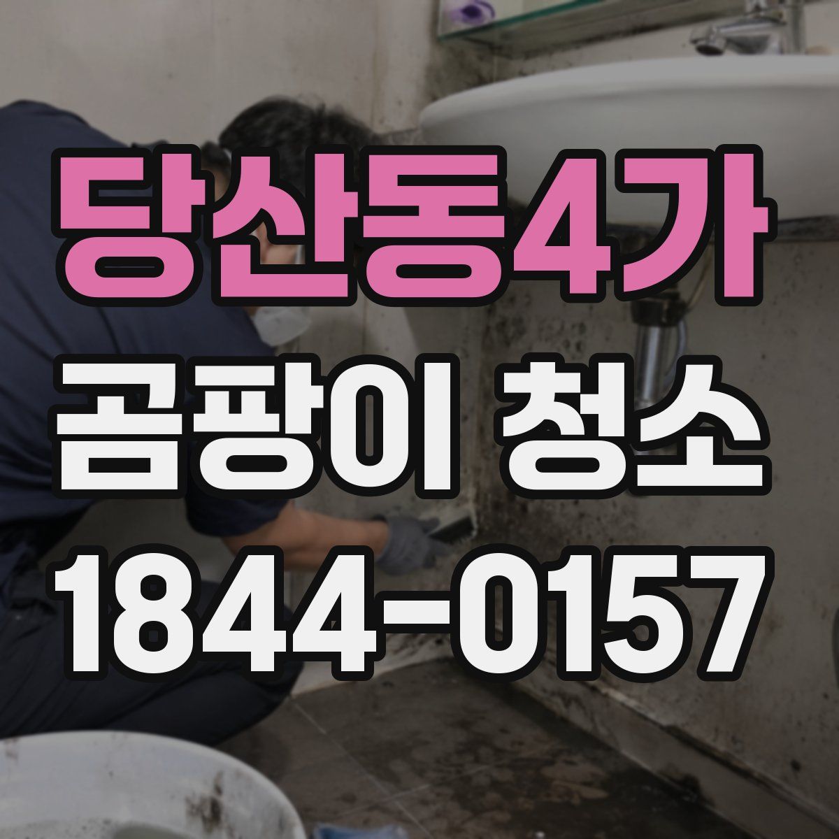 당산동4가 곰팡이 청소