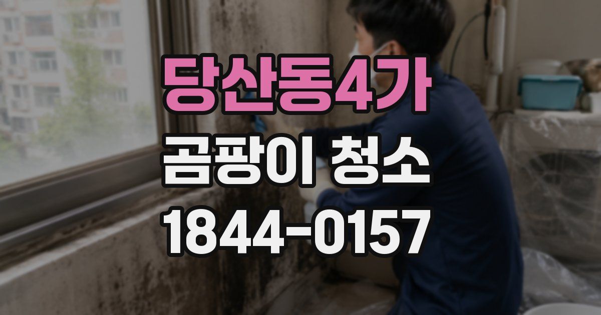 당산동4가 곰팡이 청소