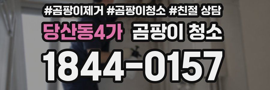 당산동4가 곰팡이 청소