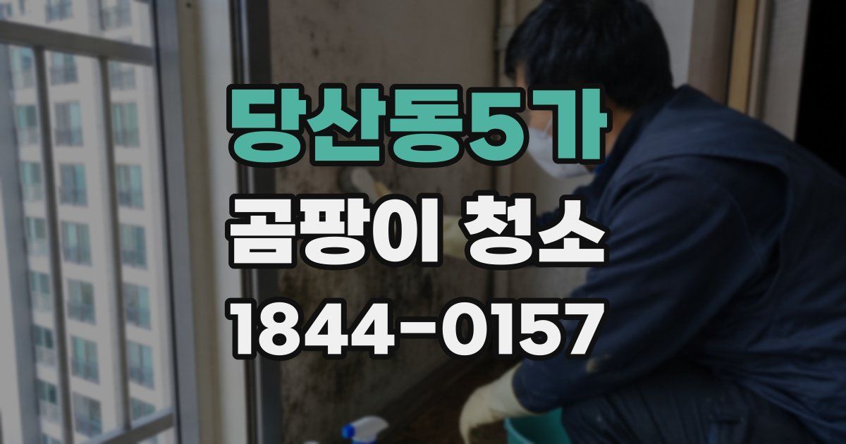 당산동5가 곰팡이 청소