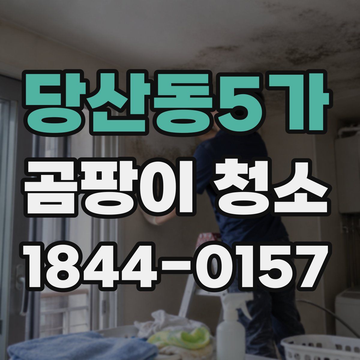 당산동5가 곰팡이 청소