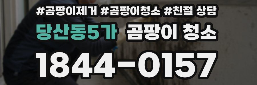 당산동5가 곰팡이 청소
